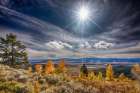 Scenic landscape within the Grand Tetons National Park. Art Print